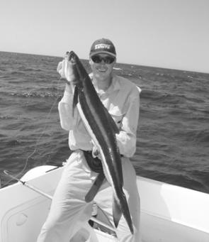 This cobia attacked a surface lure on light spin gear at the Nine Mile Reef.